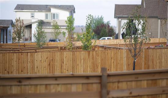Commercial Fencing Commercial Fencing